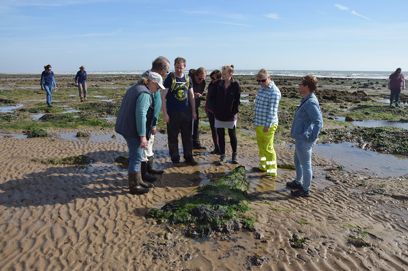 Dr Scott Timpany talks about trees at Pett Level submerged forest, East Sussex