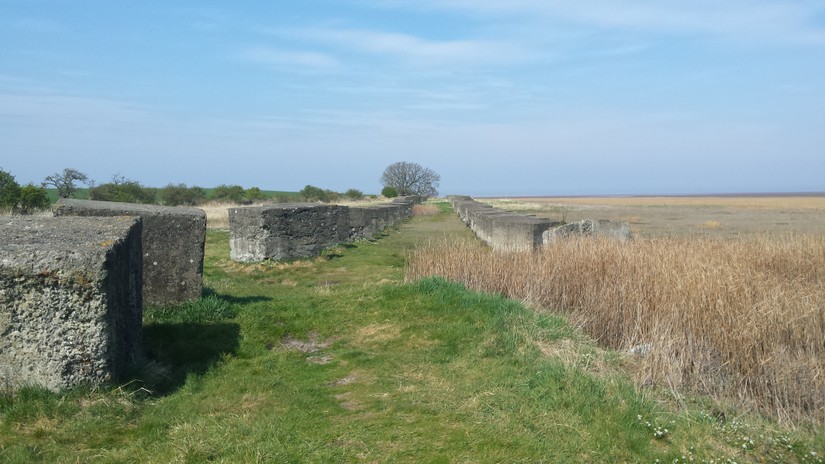 Double row of anti-tank cubes at the mainland end of the Lindisfarne Causeway