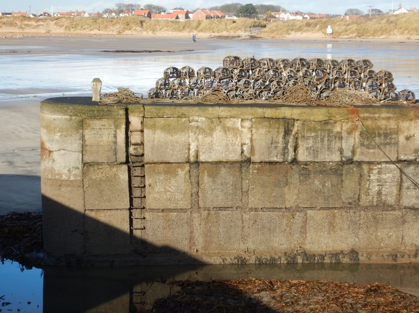 Beadnell harbour wall is constructed on anti-tank cubes
