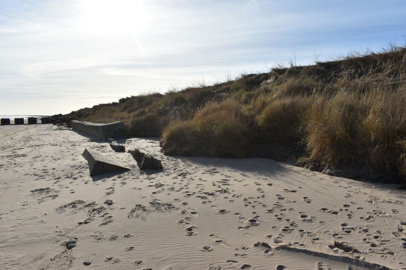 The transition from boulder clay cliff to dune.