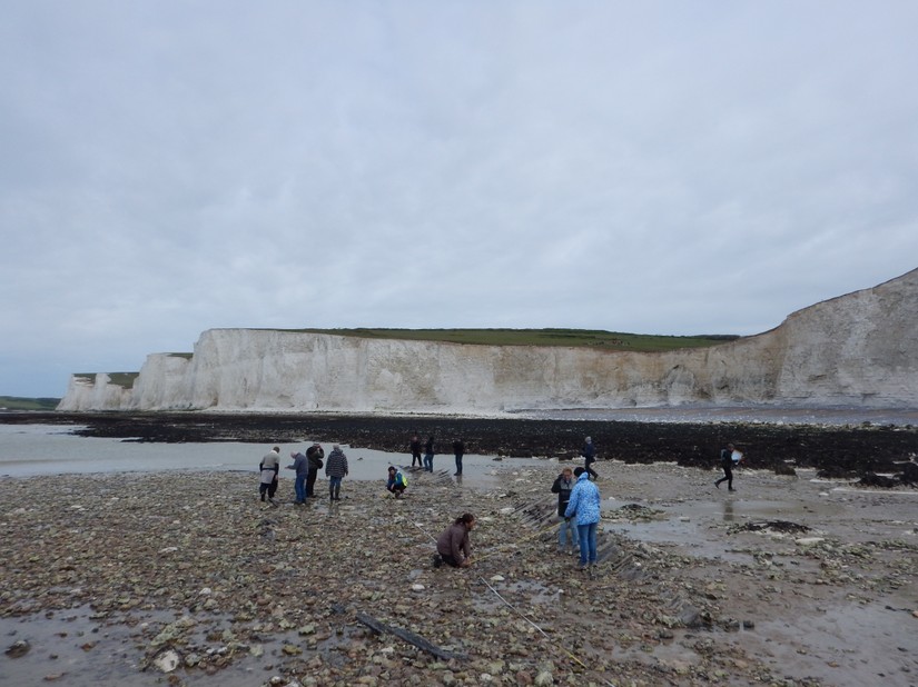 May's volunteers recording the Coonatto; the Coastguard Cottages excavation can just be seen up on the cliff
