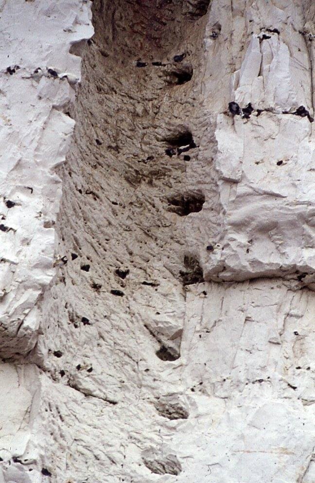 Detail of the hand and foot holds carved into the interior of the Belle Tout shaft