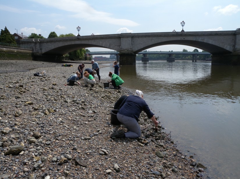 FROG's recording the Thames foreshore at Fulham Palace (photo by Nat Cohen)