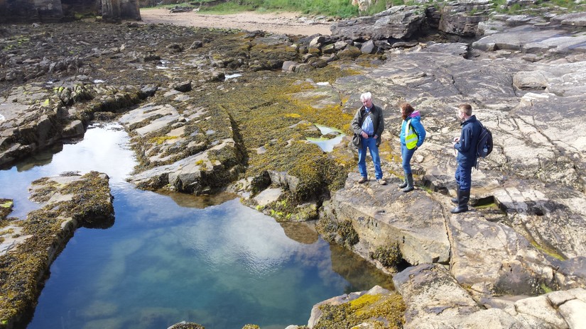 Volunteers observing one of the the Earl Grey's bathing pools