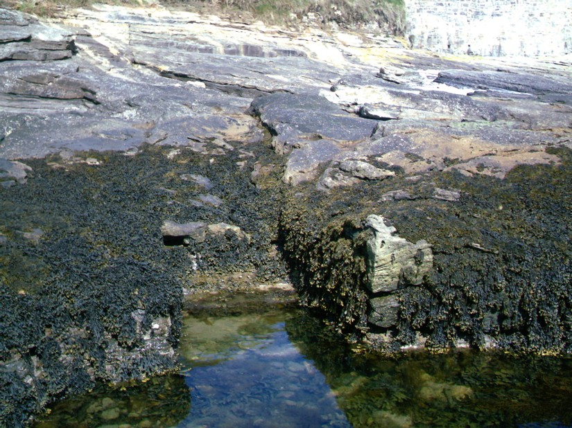 Steps down into the suggested Bathing PooL