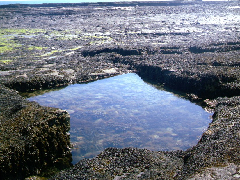 The newly discovered possible Bathing Pool