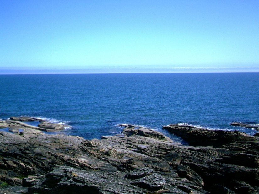 The rocky foreshore at Howick