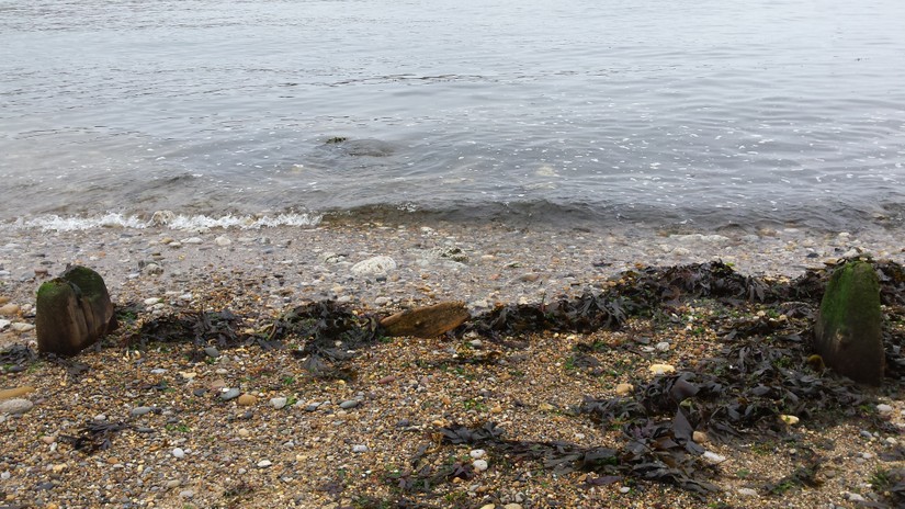 Remain of the wooden lifeboat slipway at Tynemouth