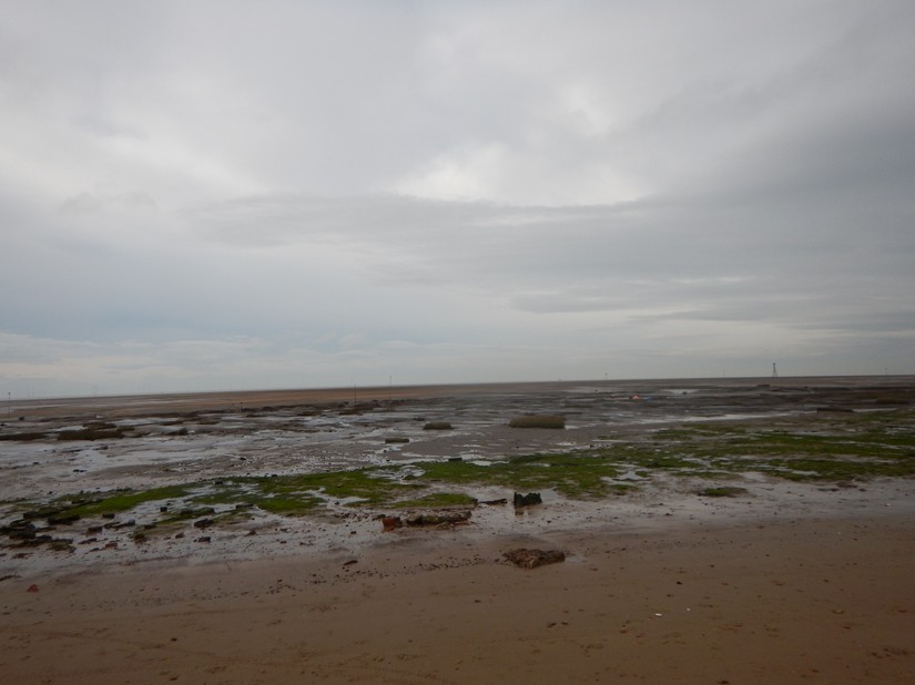 Submerged forest at Hightown