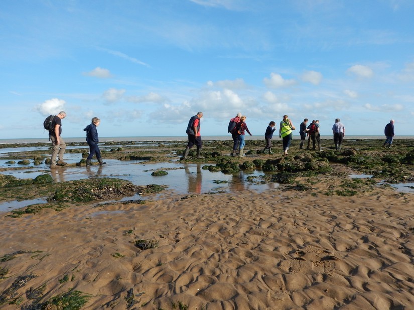 Volunteers at Pett Level