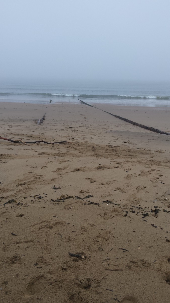 Sea Plane Launching Ramp at South Sheilds