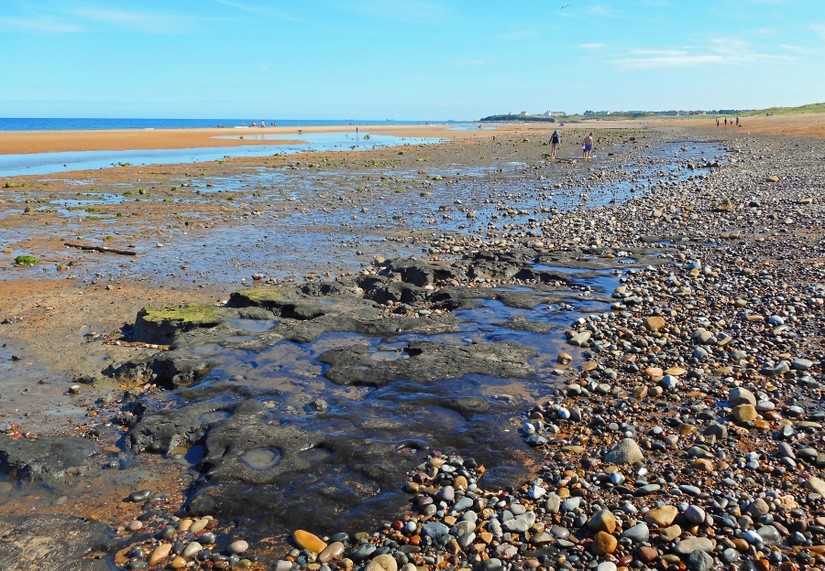 Peat exposure at Blyth