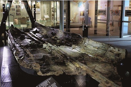 The Dover Boat on display at Dover Museum