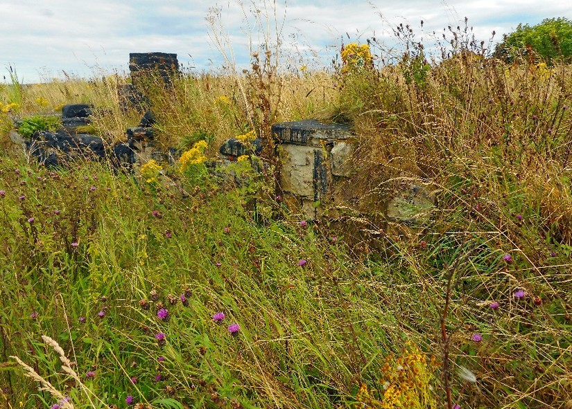 Bark-pots at Beadnell