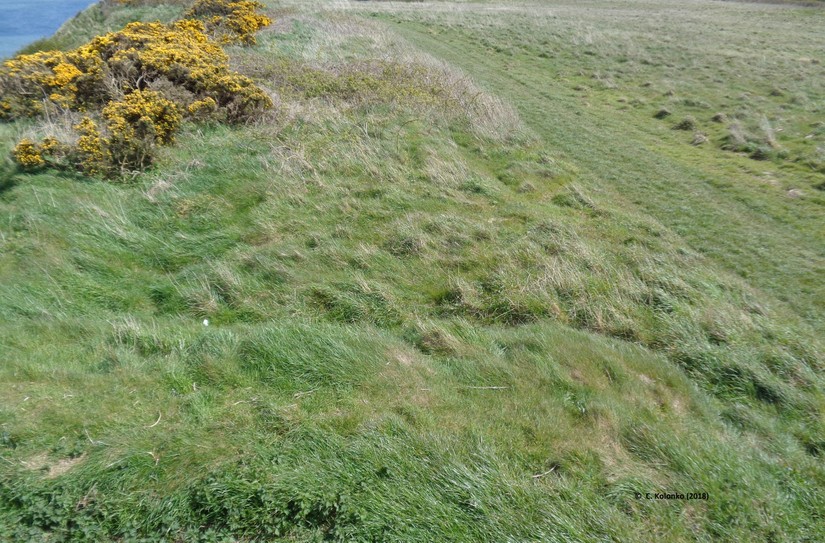 Surviving Second World War slit trench on the cliffs above Reighton Sands