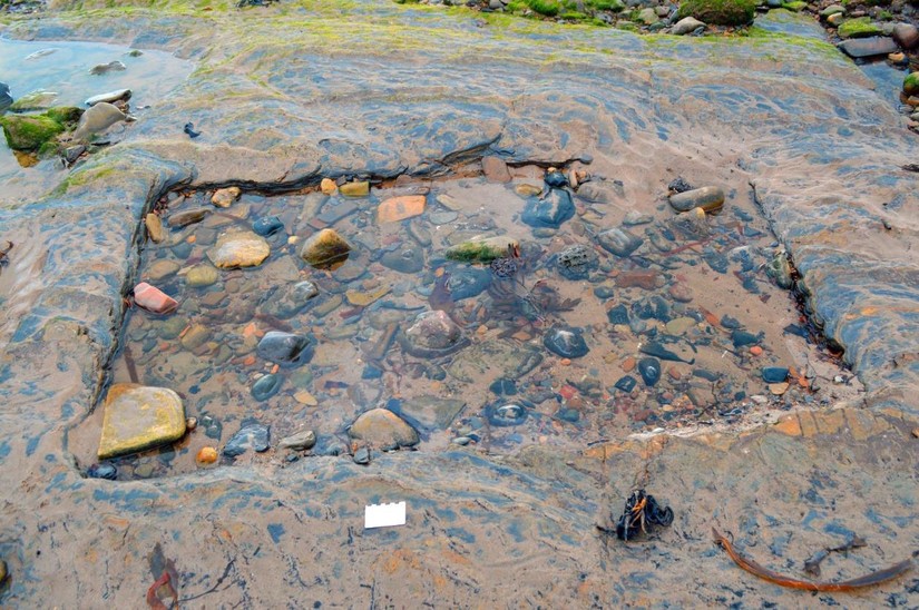 Coal mining pit shaft on the foreshore at Low Hauxley (scale: 8cm card)