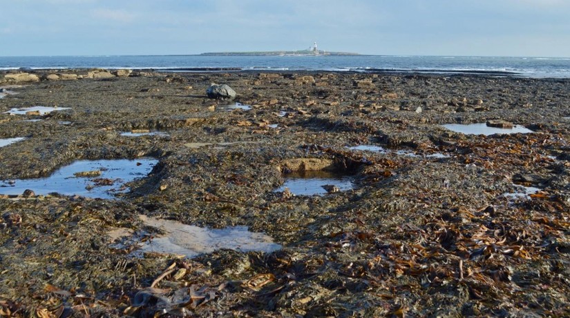 Coal pit shafts at Amble foreshore