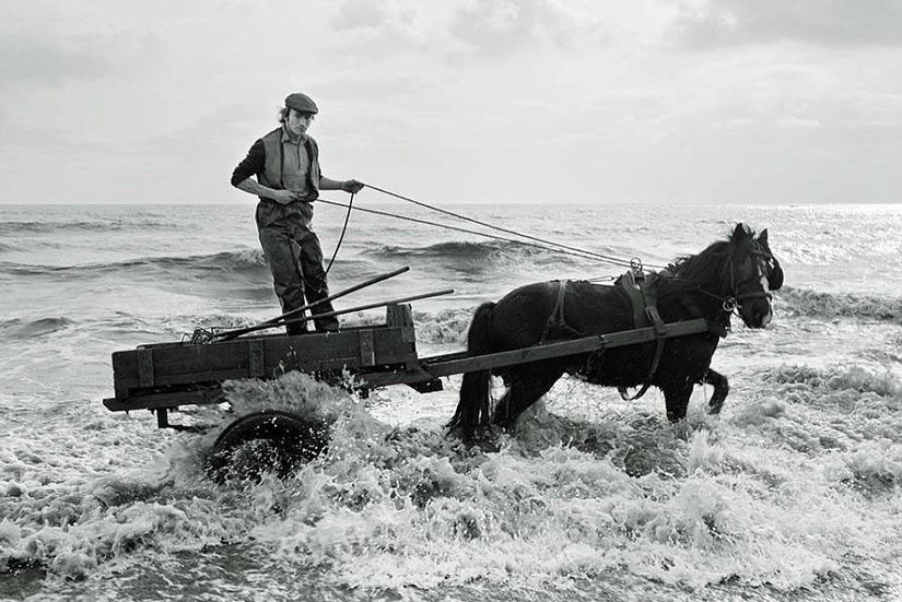 Seacoaler’s Cart, Lynemouth, Northumberland, 1982