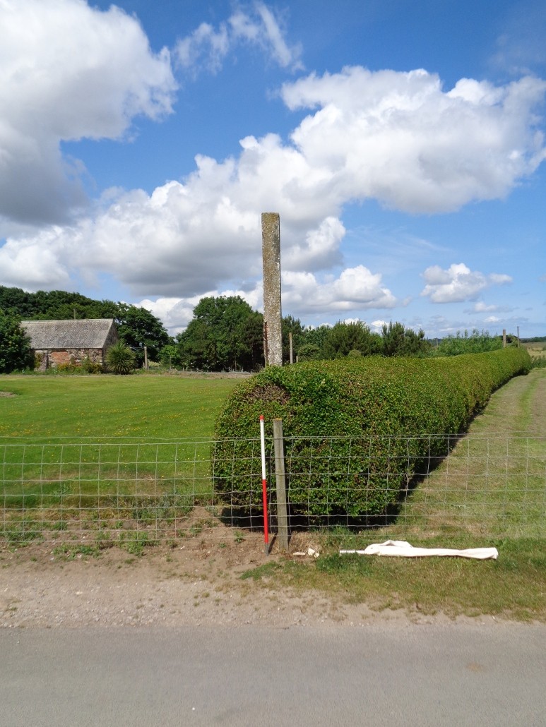 In situ anti-landing pole surviving at its original height. Removed during recent development.