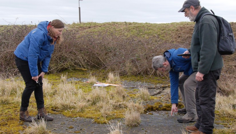 CITiZAN archaeologist Lara Band and CITiZAN volunteers discussing evidence for parquet flooring, March 2018