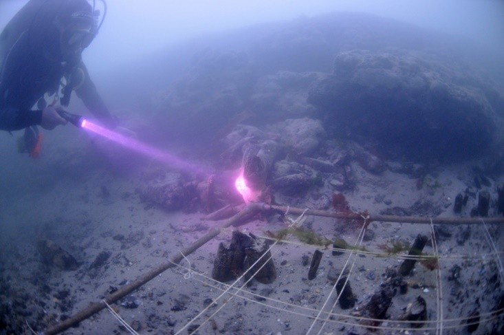 Recording a Mesolithic boat building site in the Solent