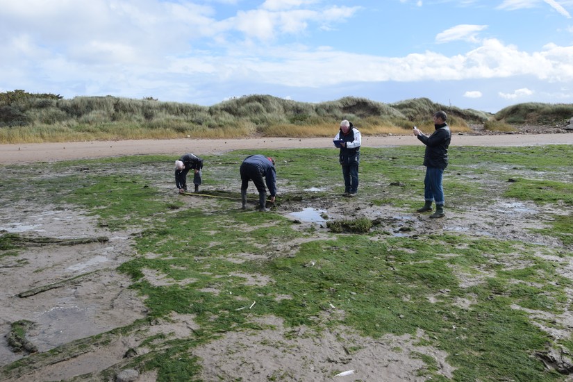 CITiZAN North volunteers recording a fallen tree trunk at Hightown, September 2016