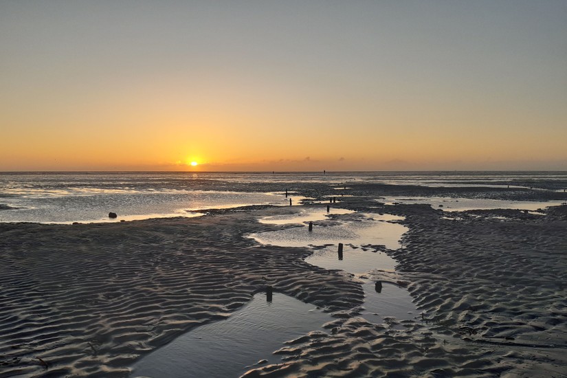 Sunrise over stake lines at Sandwich Bay