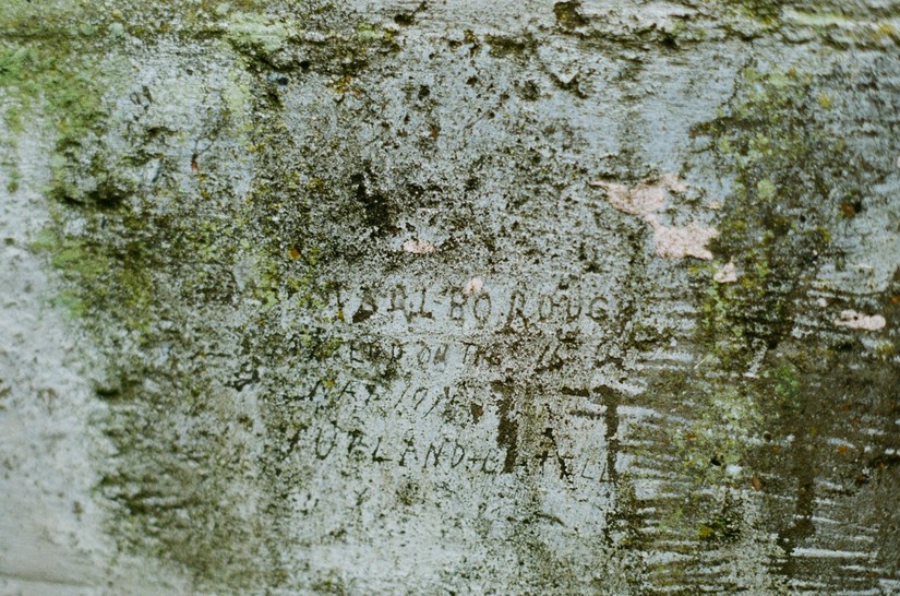 HMS Marlborough and the Battle of Jutland, graffiti on a cell wall