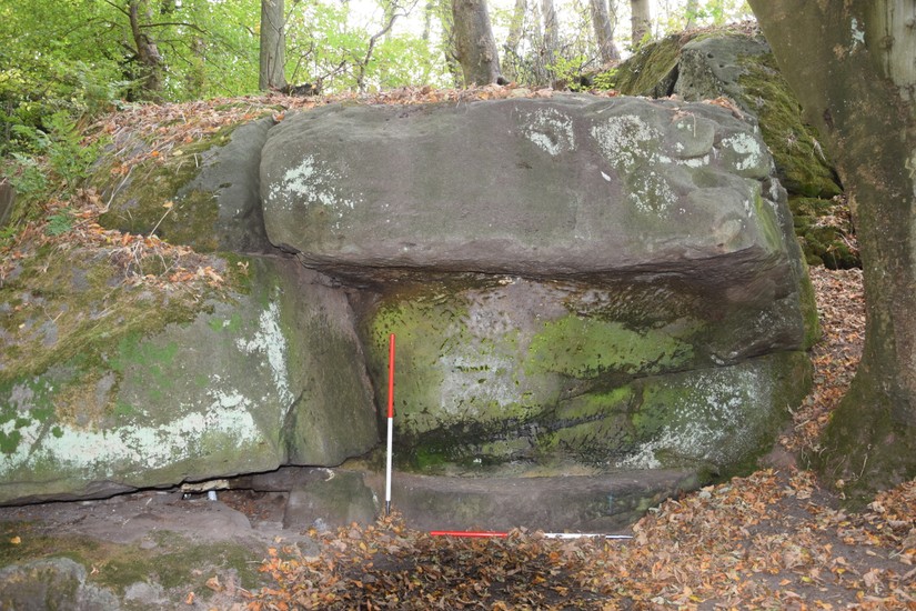 A shelter and bench cut into the cliff overlooking part of the garden