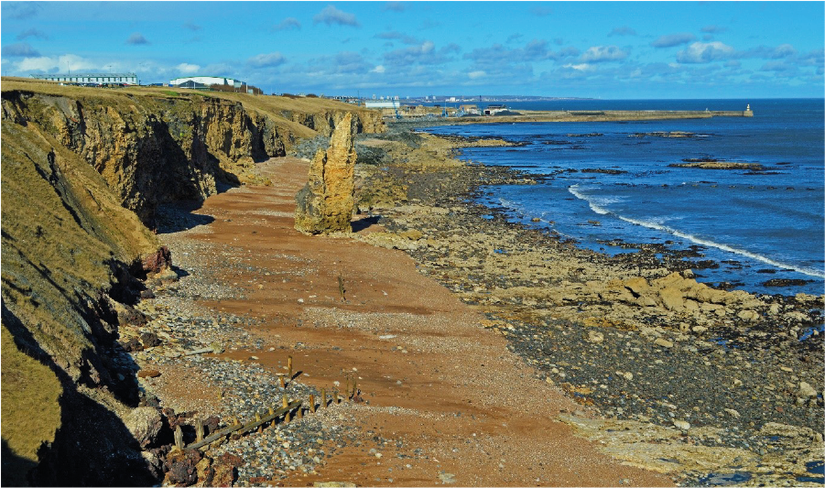 Chemical Beach, looking North from Nose’s Point, 2020.