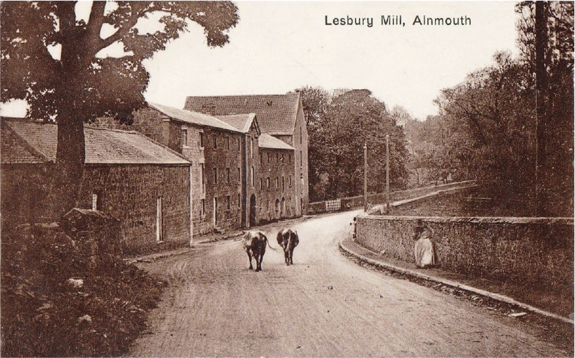 Aunt Z’s Postcard, 1919.