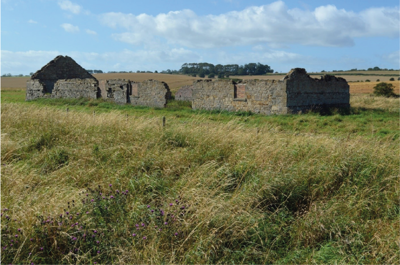 The Guano Shed, Alnmouth