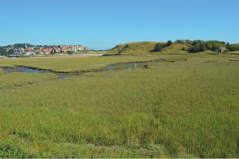 Alnmouth and Church Hill from the West 