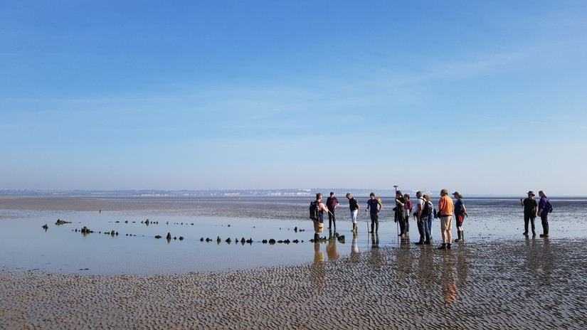 Volunteers helping to record one of the many sites at Sandwich Bay