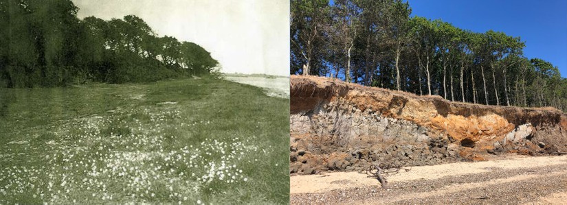 Cudmore Grove in the 1920's and today.