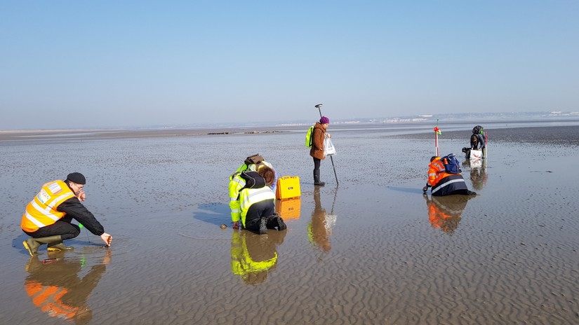 Sampling stakes at Sandwich Bay, March 2022