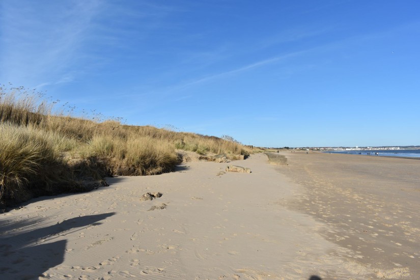 The exact point where the erosion stops and the dune starts.