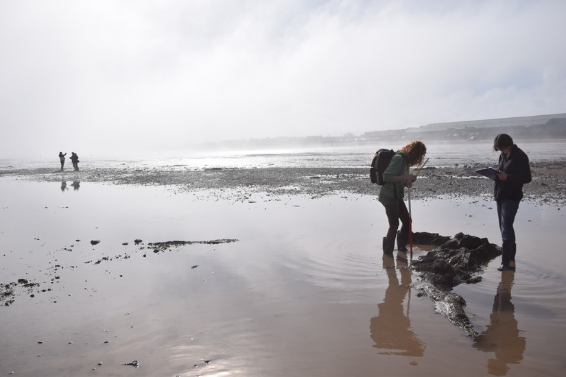 Volunteers recording the submerged forest at Cleethorpes