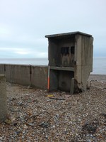 CITiZAN_SE_volunteers's image