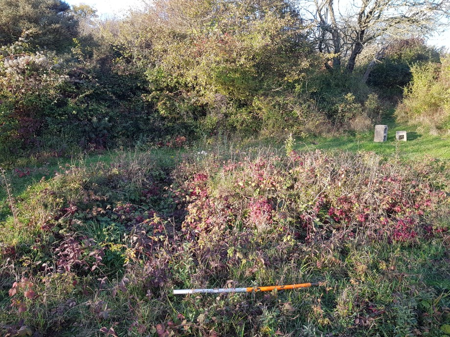 LMNorthall's image